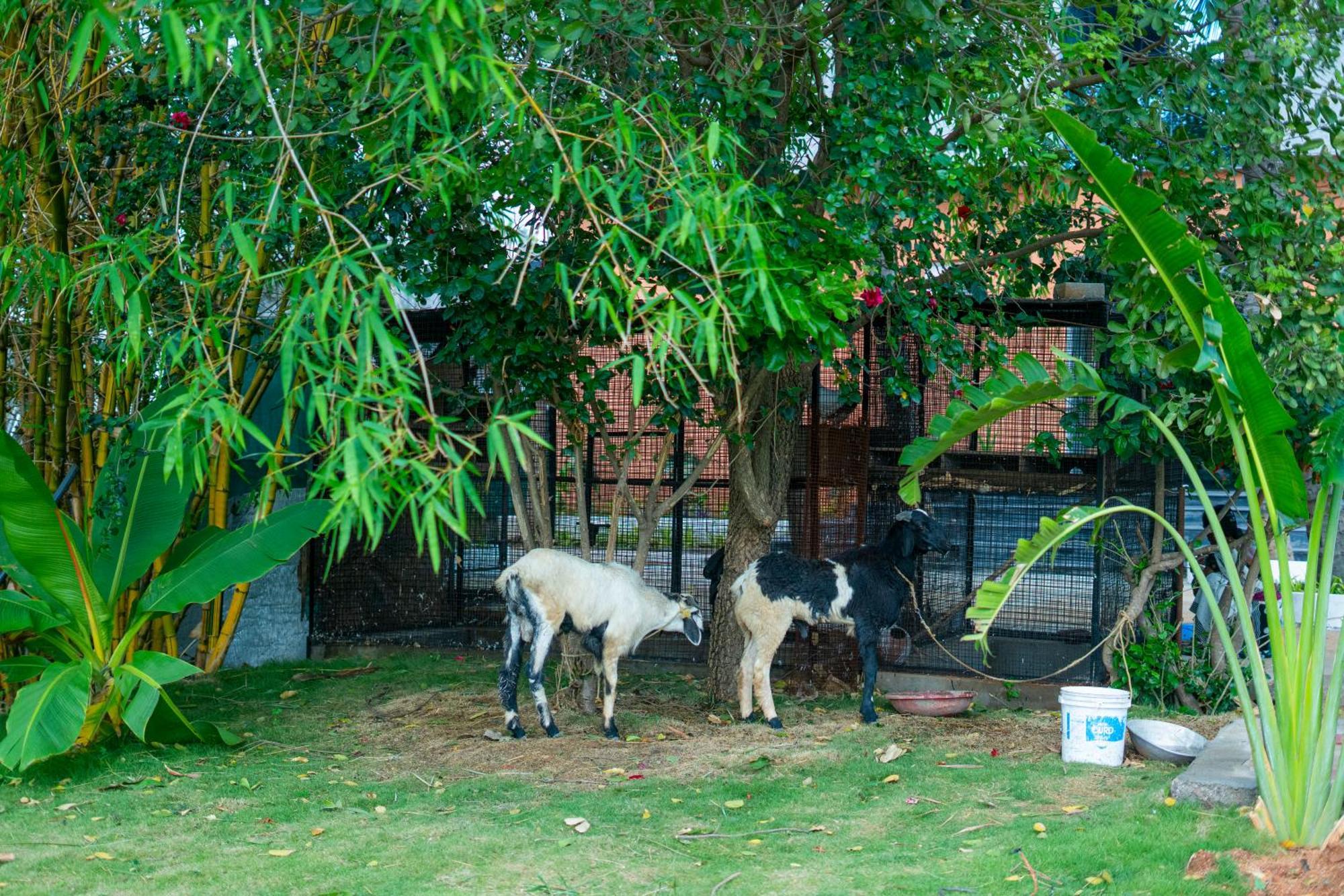 Serene Resort Hyderabad เชมชาบัด ภายนอก รูปภาพ